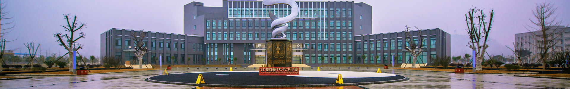 企业荣誉banner